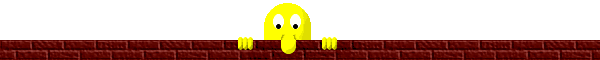 101