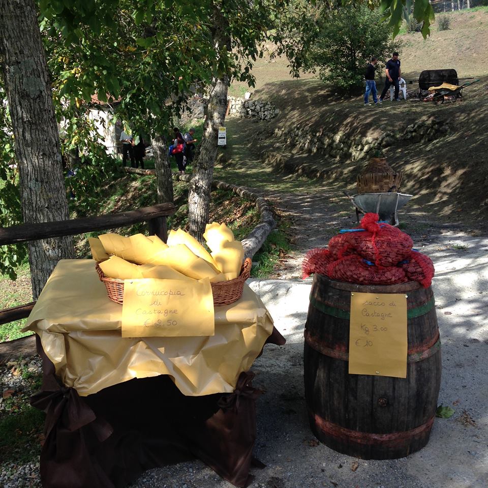 joe natta leggende lucchesi, joe natta, cantautore, cascio, garfagnana, molazzana, gallicano, musica italiana, lucca, tradizioni, castagnata, criciolette, canzoni popolari, folletti, leggenda toscana (35).jpg