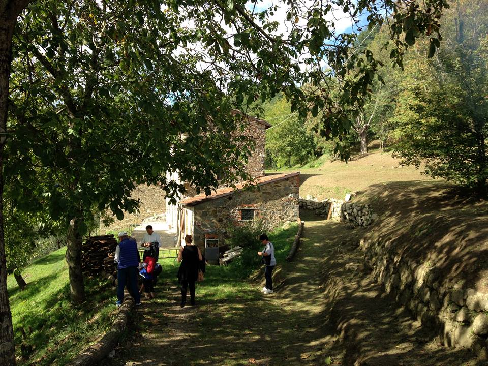 joe natta leggende lucchesi, joe natta, cantautore, cascio, garfagnana, molazzana, gallicano, musica italiana, lucca, tradizioni, castagnata, criciolette, canzoni popolari, folletti, leggenda toscana (30).jpg