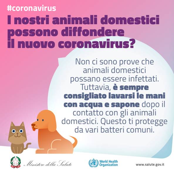 6, coronavirus, coronavirus italia, prevenzione, io resto a casa, andr tutto bene, iorestoacasa, andatuttobene, informazione, ministero della salute, italia, quarantena, italia zona rossa, notizie, regole, rispetto.PNG