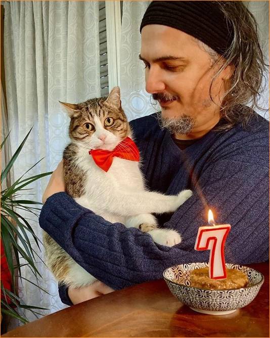 joe natta, dobby, gatto, gatti, italia.JPG