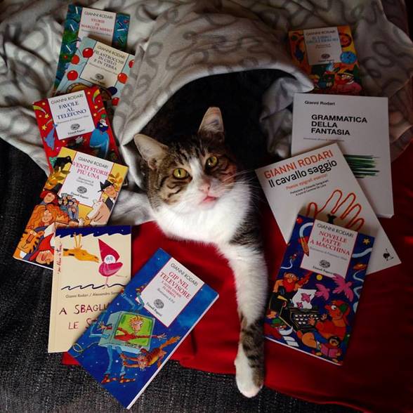 joe natta, dobby il gatto di joe natta, lucca, libri, consigli di lettura, gatti divertenti, gatto simpatico, gattone buono, gatto fortunato, musica, tutto molto bello (9).jpg