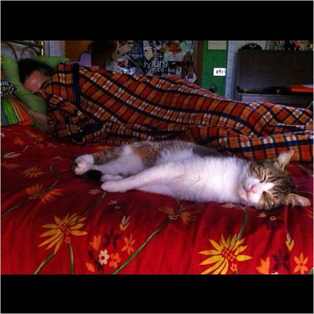 joe natta e dobby il gatto dormono.jpg