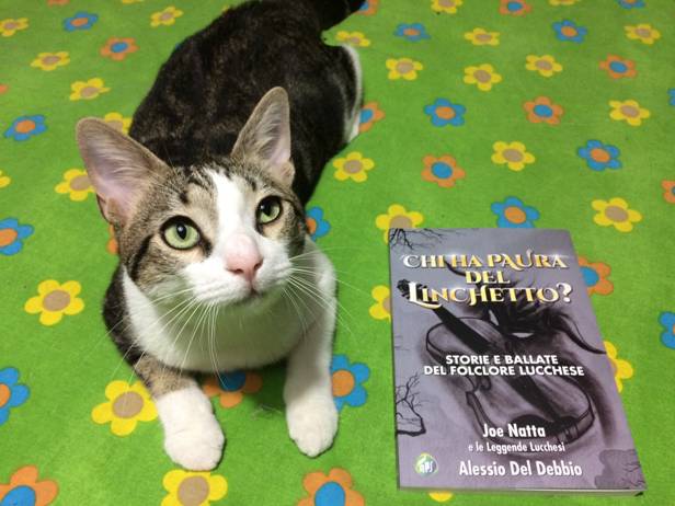 art, gatto, gattti, joe natta, art gattino birichino, musica, allegria, animali, divertente, amore (3).jpg