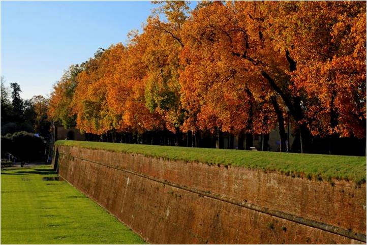 mura di lucca.jpg