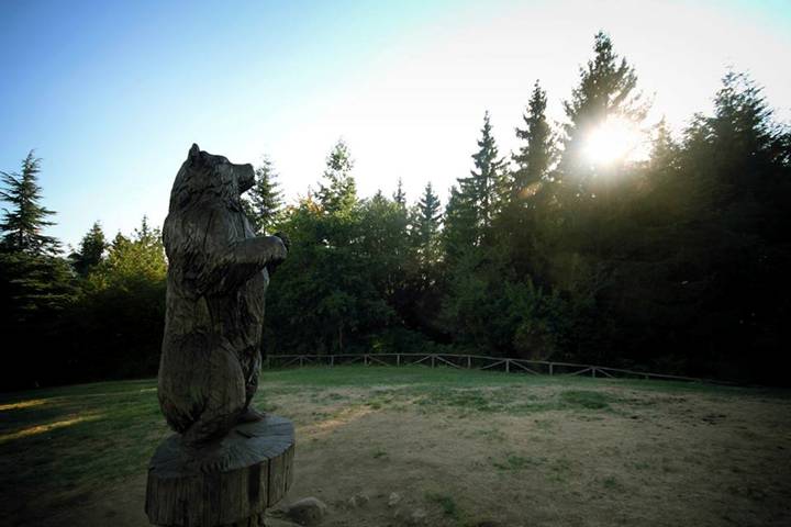 joe natta leggende lucchesi, parco orecchiella, la scuola nel parco, concerto, musica italiana, cantautore, seminario, lucca, garfagnana, toscana, tradizioni, concerti toscana, racconti, natura (2).jpg