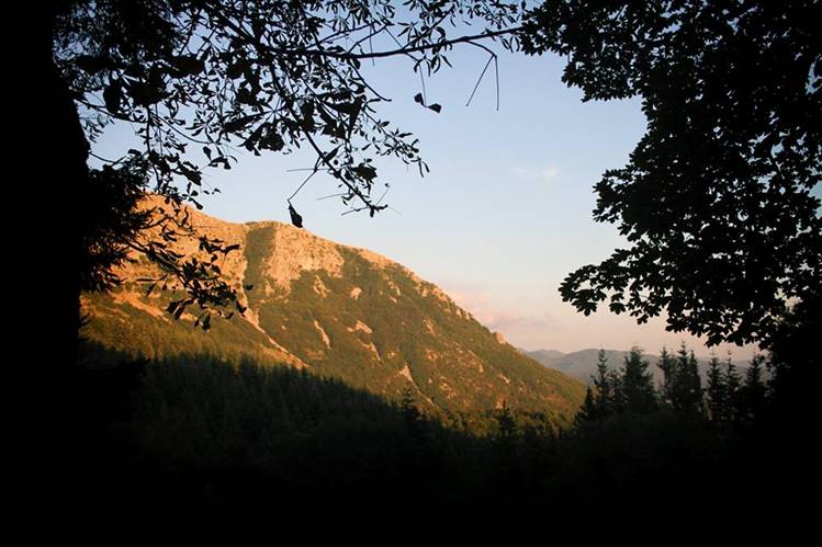 joe natta leggende lucchesi, parco orecchiella, la scuola nel parco, concerto, musica italiana, cantautore, seminario, lucca, garfagnana, toscana, tradizioni, concerti toscana, racconti, natura (17).jpg