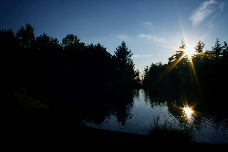 joe natta leggende lucchesi, parco orecchiella, la scuola nel parco, concerto, musica italiana, cantautore, seminario, lucca, garfagnana, toscana, tradizioni, concerti toscana, racconti, natura (1).jpg