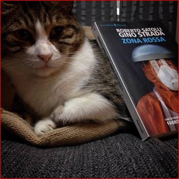 zona rossa, gino strada, emergency, joe natta, solidariet, passa parola, tutto molto bello.jpg