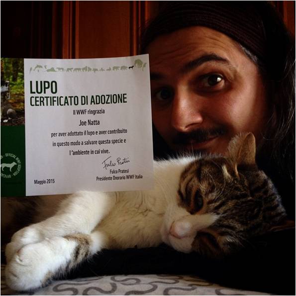 JOE NATTA ADOZIONE WWF LUPO italiano onlus adozioniwwf volontariato natura passa parola tutto molto bello lucca italia vivaillupo.jpg