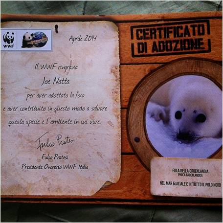 wwf adozione joe natta volontariato lucca toscana garfagnana passaparola onlus animali natura terra ambiente.jpg