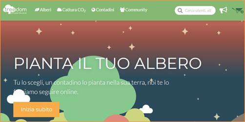 treedom, joe natta, cantautore, lucca, alberi, pianta.jpg