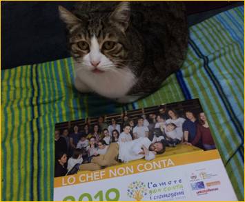 dobby andare oltre si pu calendario 2019 lucca joe natta.jpg